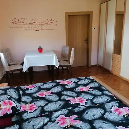Flat Near The Tannenbergsthal Apartment