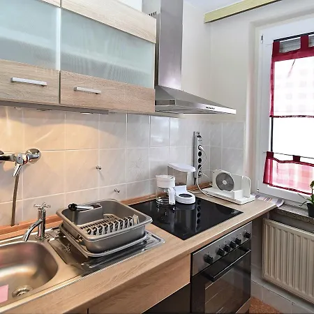 Flat Near The Tannenbergsthal Apartment *