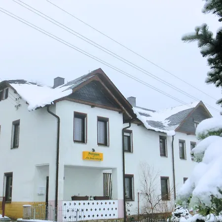 Flat Near The Tannenbergsthal Apartment